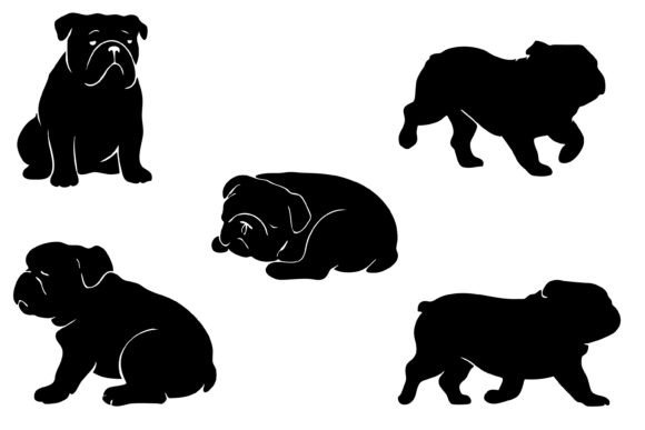 English Bulldog Silhouette SVG Clipart Review
